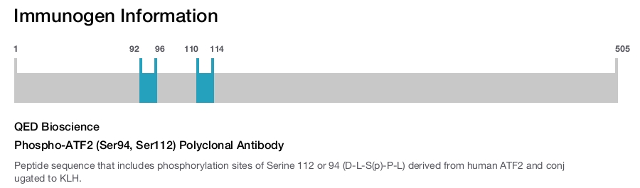 Phospho-ATF2 (Ser94, Ser112) Polyclonal Antibody