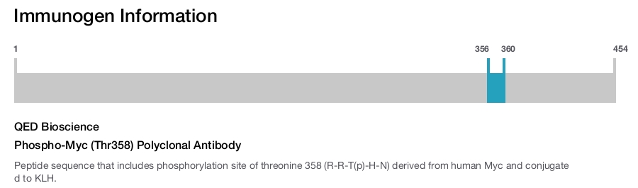 Phospho-Myc (Thr358) Polyclonal Antibody
