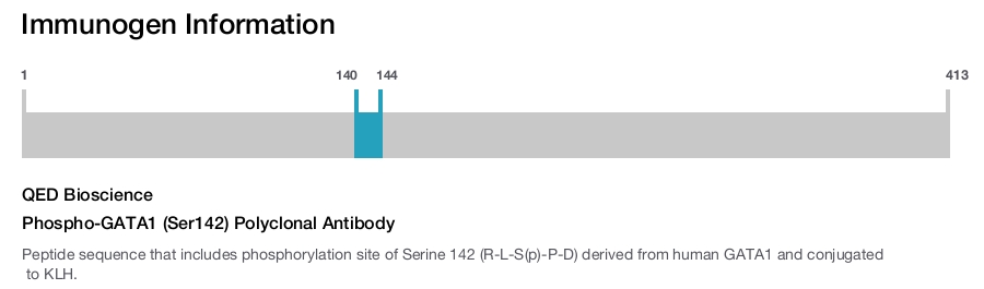 Phospho-GATA1 (Ser142) Polyclonal Antibody