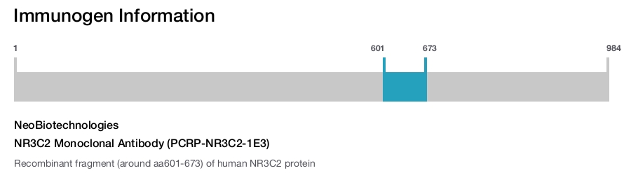 NR3C2 Monoclonal Antibody (PCRP-NR3C2-1E3)