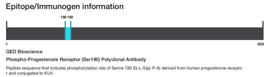 Phospho-Progesterone Receptor (Ser190) Polyclonal Antibody
