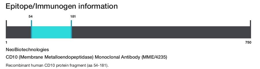 CD10 (Membrane Metalloendopeptidase) Monoclonal Antibody (MME/4235)
