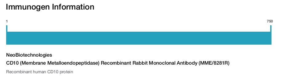 CD10 (Membrane Metalloendopeptidase) Recombinant Rabbit Monoclonal Antibody (MME/8281R)