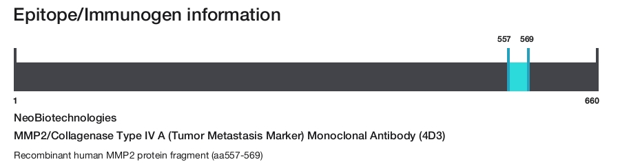 MMP2/Collagenase Type IV A (Tumor Metastasis Marker) Monoclonal Antibody (4D3)