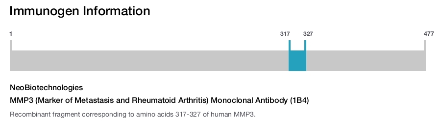 MMP3 (Marker of Metastasis and Rheumatoid Arthritis) Monoclonal Antibody (1B4)