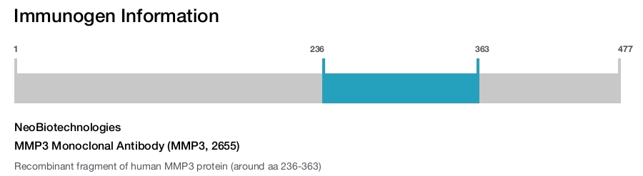 MMP3 Monoclonal Antibody (MMP3, 2655)