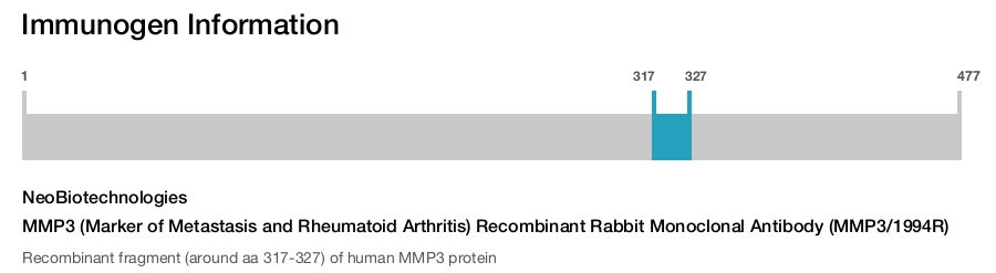 MMP3 (Marker of Metastasis and Rheumatoid Arthritis) Recombinant Rabbit Monoclonal Antibody (MMP3/1994R)
