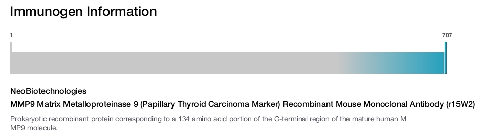 MMP9 Matrix Metalloproteinase 9 (Papillary Thyroid Carcinoma Marker) Recombinant Mouse Monoclonal Antibody (r15W2)