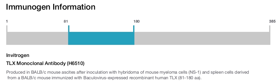 TLX Monoclonal Antibody (H6510)