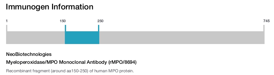 Myeloperoxidase/MPO Monoclonal Antibody (rMPO/8694)