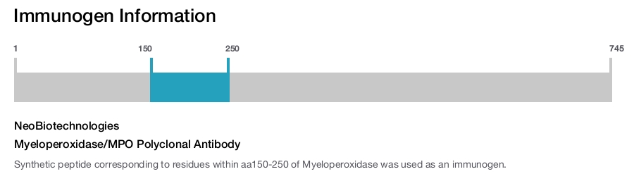 Myeloperoxidase/MPO Polyclonal Antibody