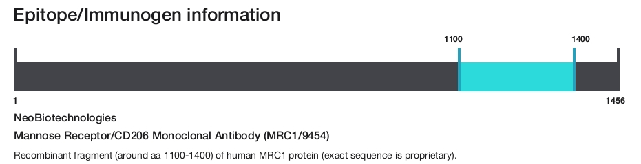 Mannose Receptor/CD206 Monoclonal Antibody (MRC1/9454)