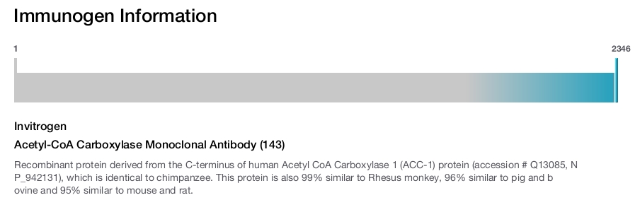Acetyl-CoA Carboxylase Monoclonal Antibody (143)