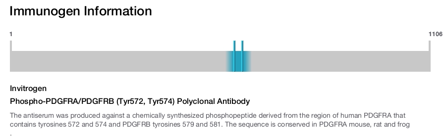 Phospho-PDGFRA/PDGFRB (Tyr572, Tyr574) Polyclonal Antibody