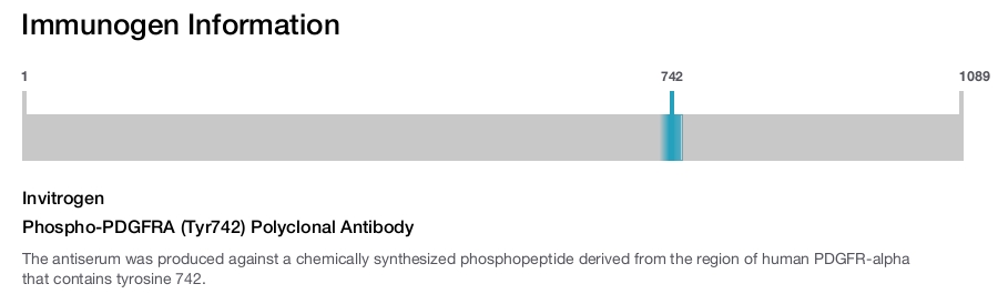 Phospho-PDGFRA (Tyr742) Polyclonal Antibody