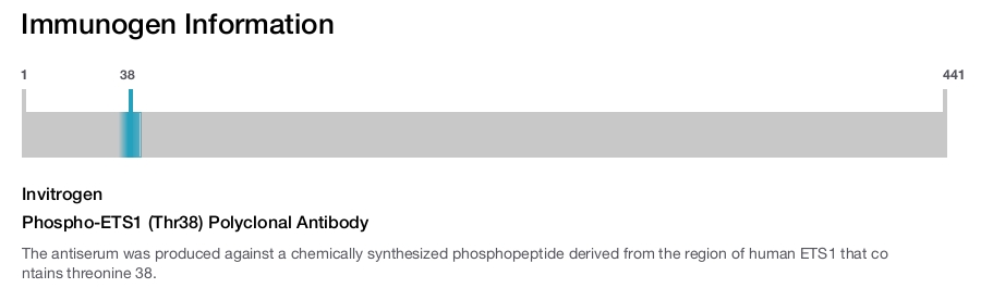 Phospho-ETS1 (Thr38) Polyclonal Antibody