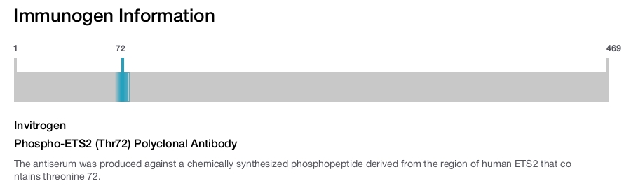 Phospho-ETS2 (Thr72) Polyclonal Antibody