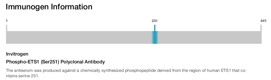 Phospho-ETS1 (Ser251) Polyclonal Antibody