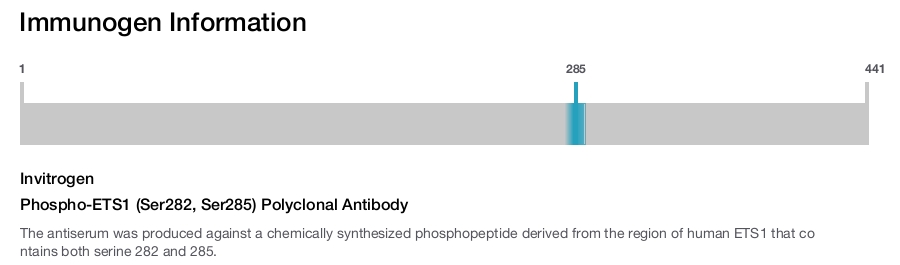 Phospho-ETS1 (Ser282, Ser285) Polyclonal Antibody