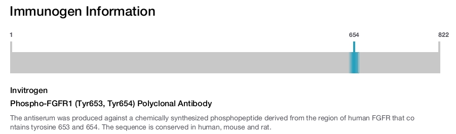 Phospho-FGFR1 (Tyr653, Tyr654) Polyclonal Antibody