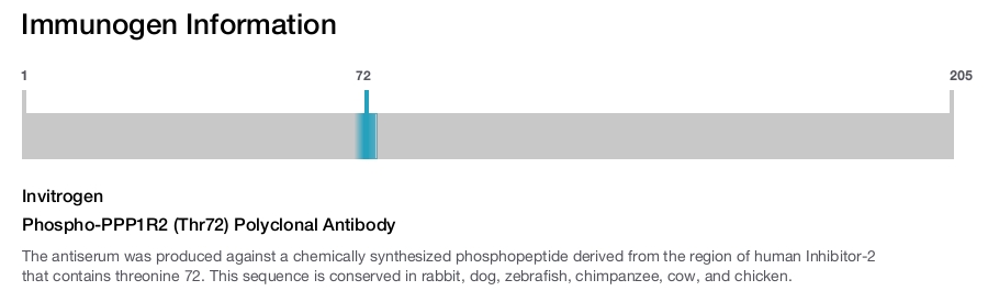 Phospho-PPP1R2 (Thr72) Polyclonal Antibody