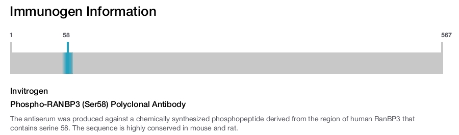 Phospho-RANBP3 (Ser58) Polyclonal Antibody
