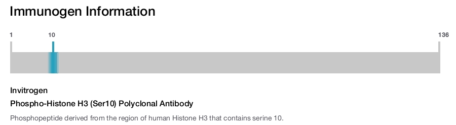 Phospho-Histone H3 (Ser10) Polyclonal Antibody