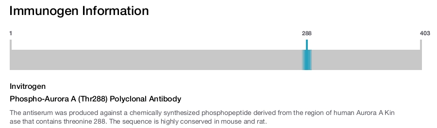 Phospho-Aurora A (Thr288) Polyclonal Antibody