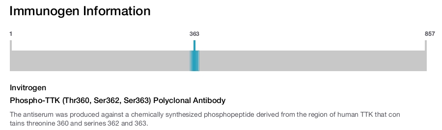Phospho-TTK (Thr360, Ser362, Ser363) Polyclonal Antibody