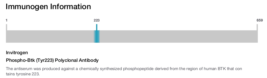 Phospho-Btk (Tyr223) Polyclonal Antibody