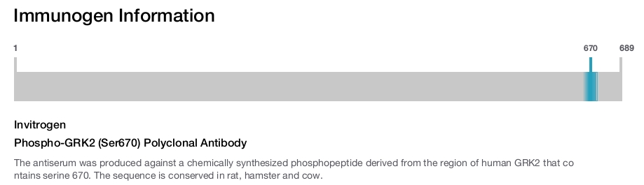 Phospho-GRK2 (Ser670) Polyclonal Antibody
