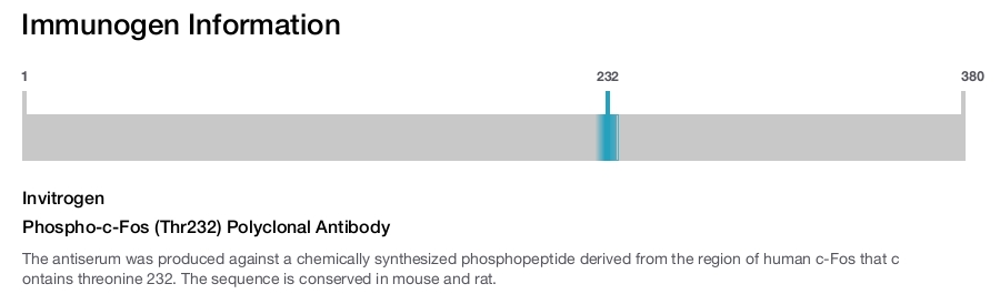Phospho-c-Fos (Thr232) Polyclonal Antibody