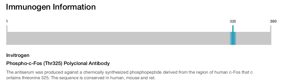 Phospho-c-Fos (Thr325) Polyclonal Antibody