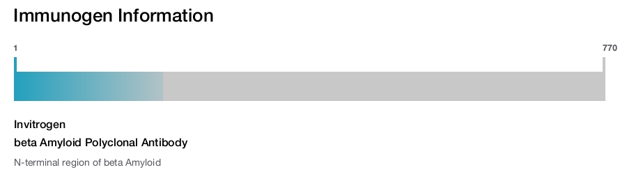beta Amyloid Polyclonal Antibody