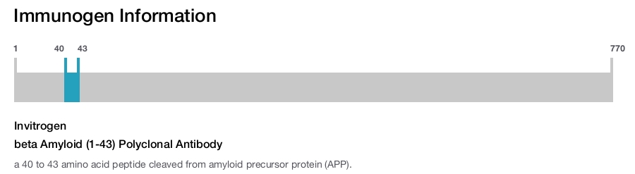 beta Amyloid (1-43) Polyclonal Antibody