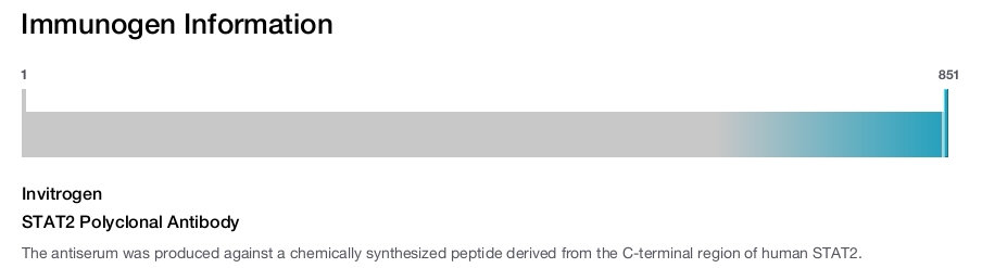 STAT2 Polyclonal Antibody
