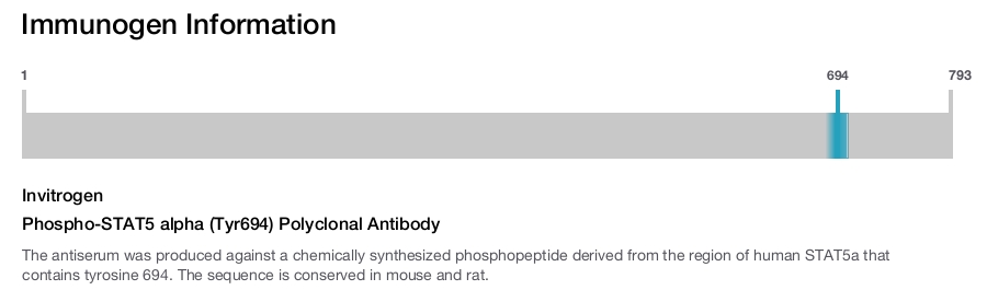 Phospho-STAT5 alpha (Tyr694) Polyclonal Antibody