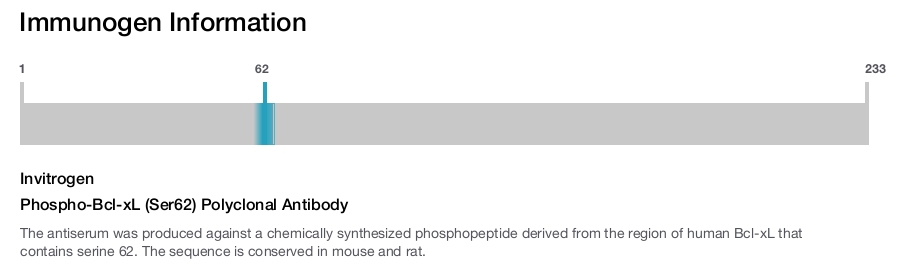 Phospho-Bcl-xL (Ser62) Polyclonal Antibody