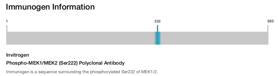 Phospho-MEK1/MEK2 (Ser222) Polyclonal Antibody