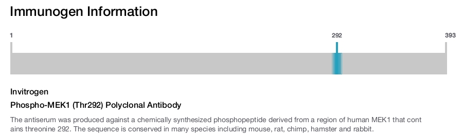 Phospho-MEK1 (Thr292) Polyclonal Antibody