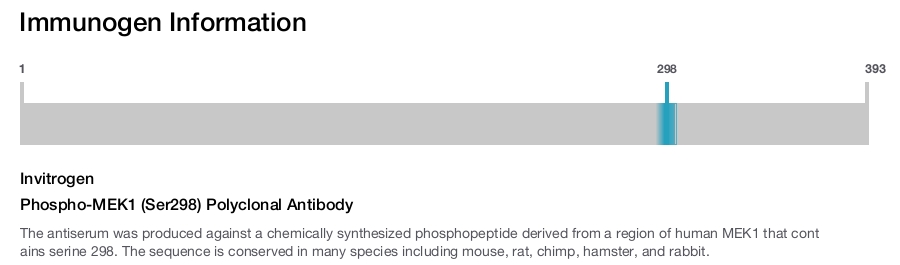 Phospho-MEK1 (Ser298) Polyclonal Antibody