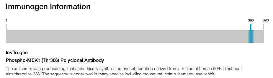 Phospho-MEK1 (Thr386) Polyclonal Antibody