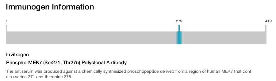 Phospho-MEK7 (Ser271, Thr275) Polyclonal Antibody