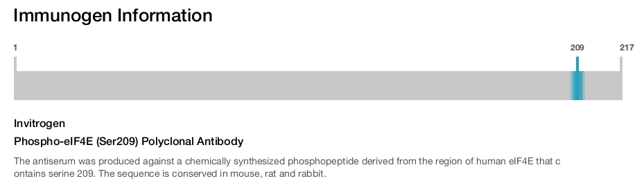 Phospho-eIF4E (Ser209) Polyclonal Antibody