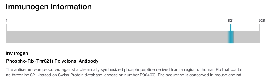 Phospho-Rb (Thr821) Polyclonal Antibody