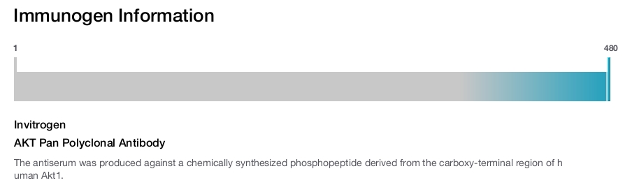 AKT Pan Polyclonal Antibody