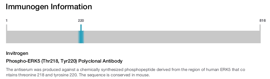 Phospho-ERK5 (Thr218, Tyr220) Polyclonal Antibody