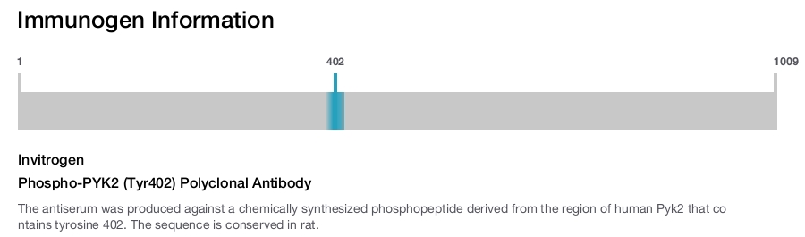 Phospho-PYK2 (Tyr402) Polyclonal Antibody