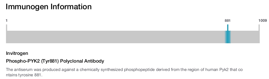 Phospho-PYK2 (Tyr881) Polyclonal Antibody