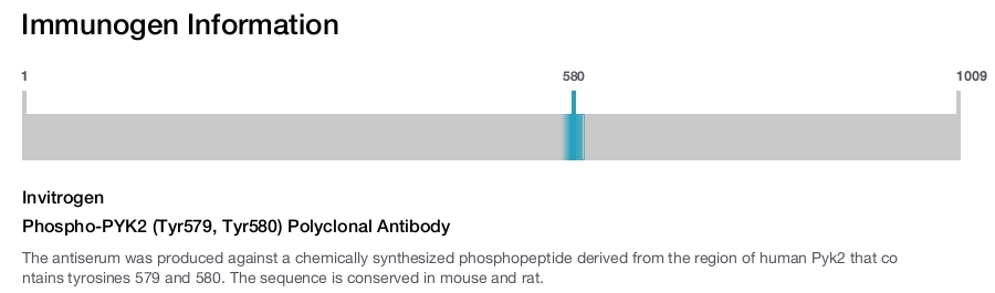 Phospho-PYK2 (Tyr579, Tyr580) Polyclonal Antibody